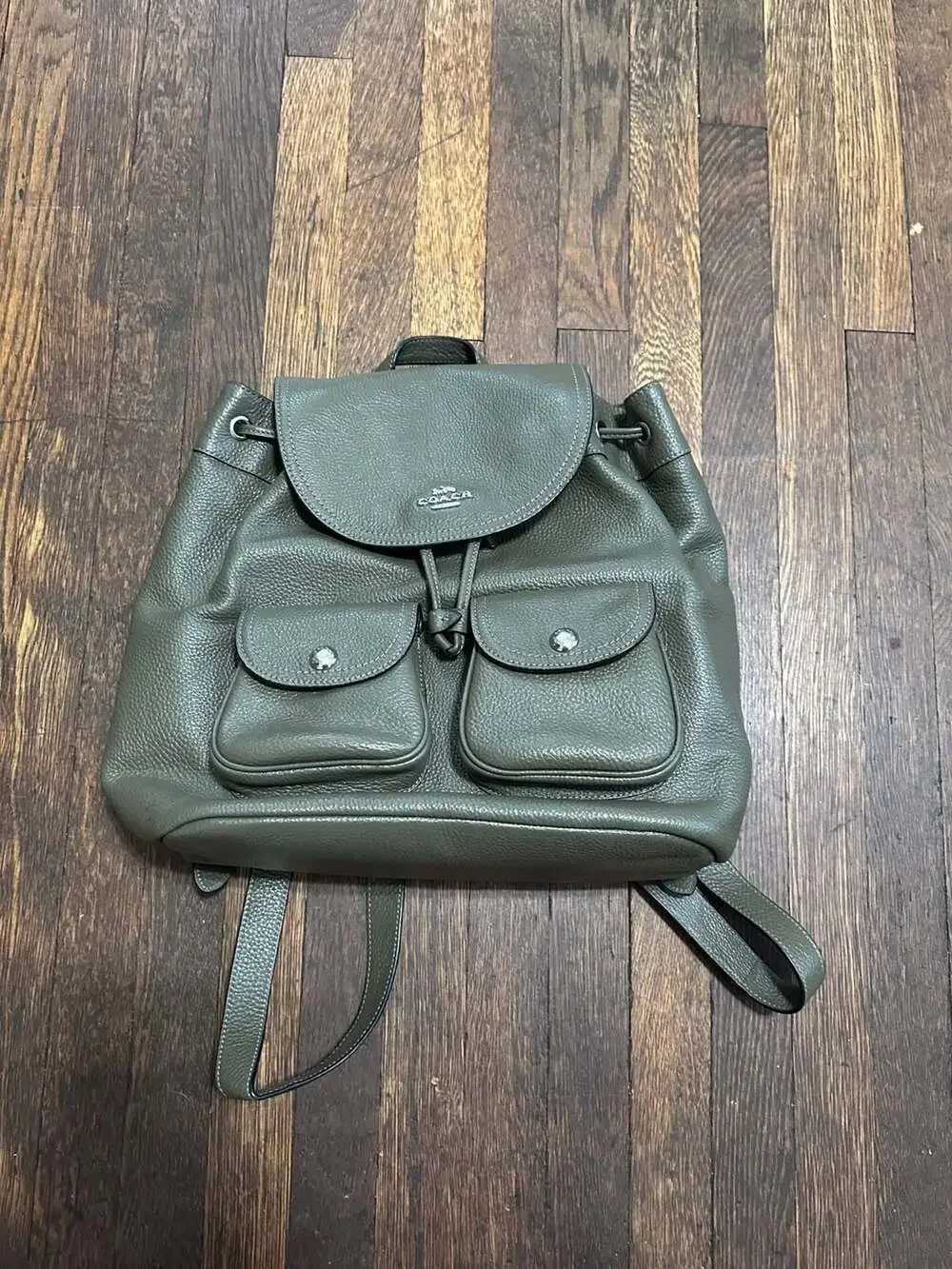 Coach Pennie Backpack in Surplus Pebbled Leather (Style No. 6145)